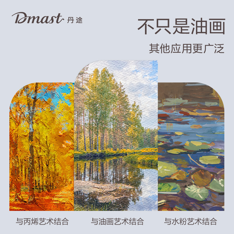 dmast丹途RS100-5画布框-30*40cm(混)(个)